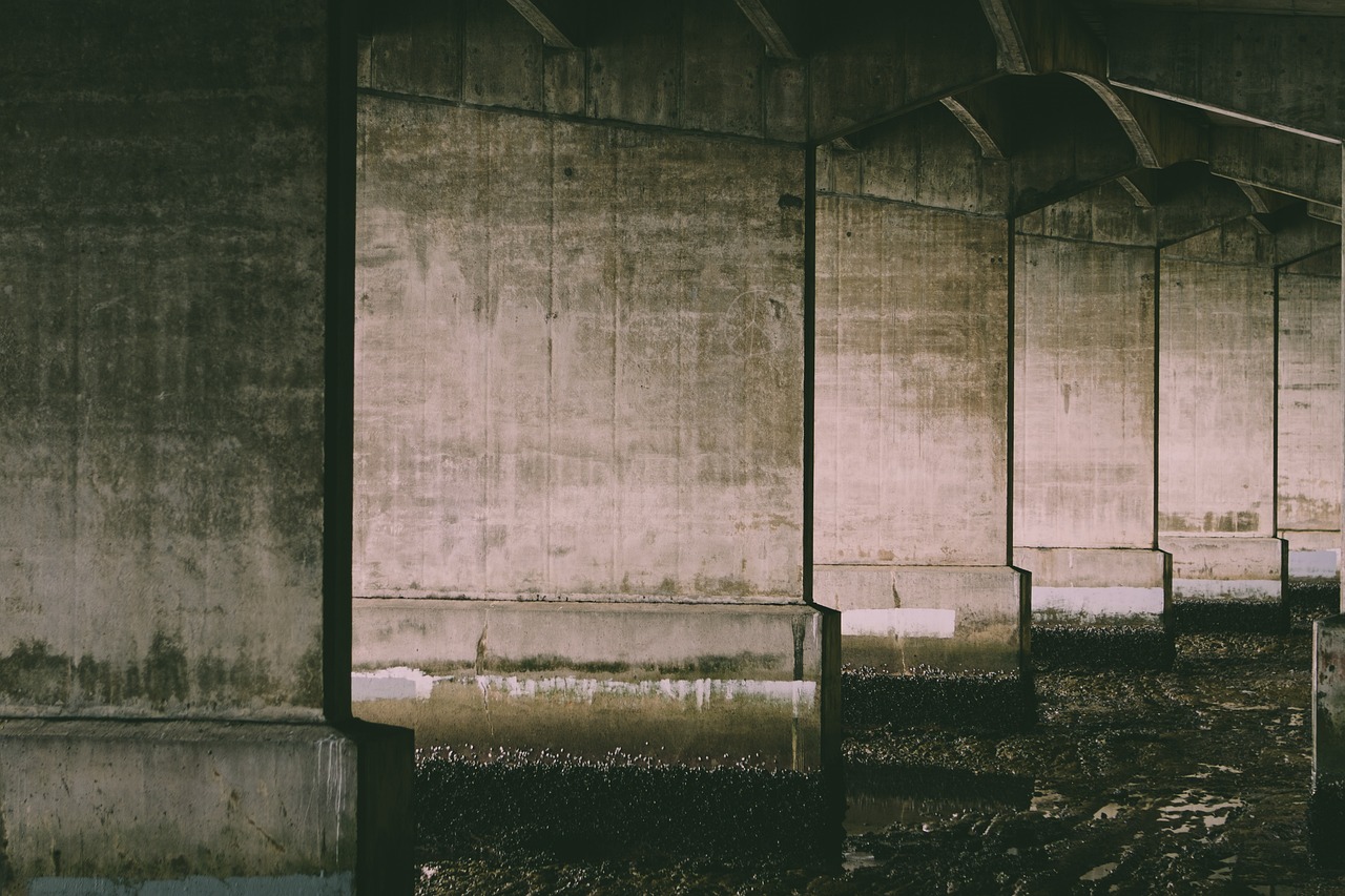 圣皇国际娱乐，注册|商务代理注册什么公司