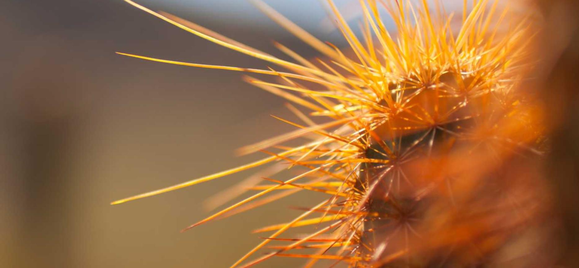 技术支持辅助商业模式的简介与市场变动趋势的展望