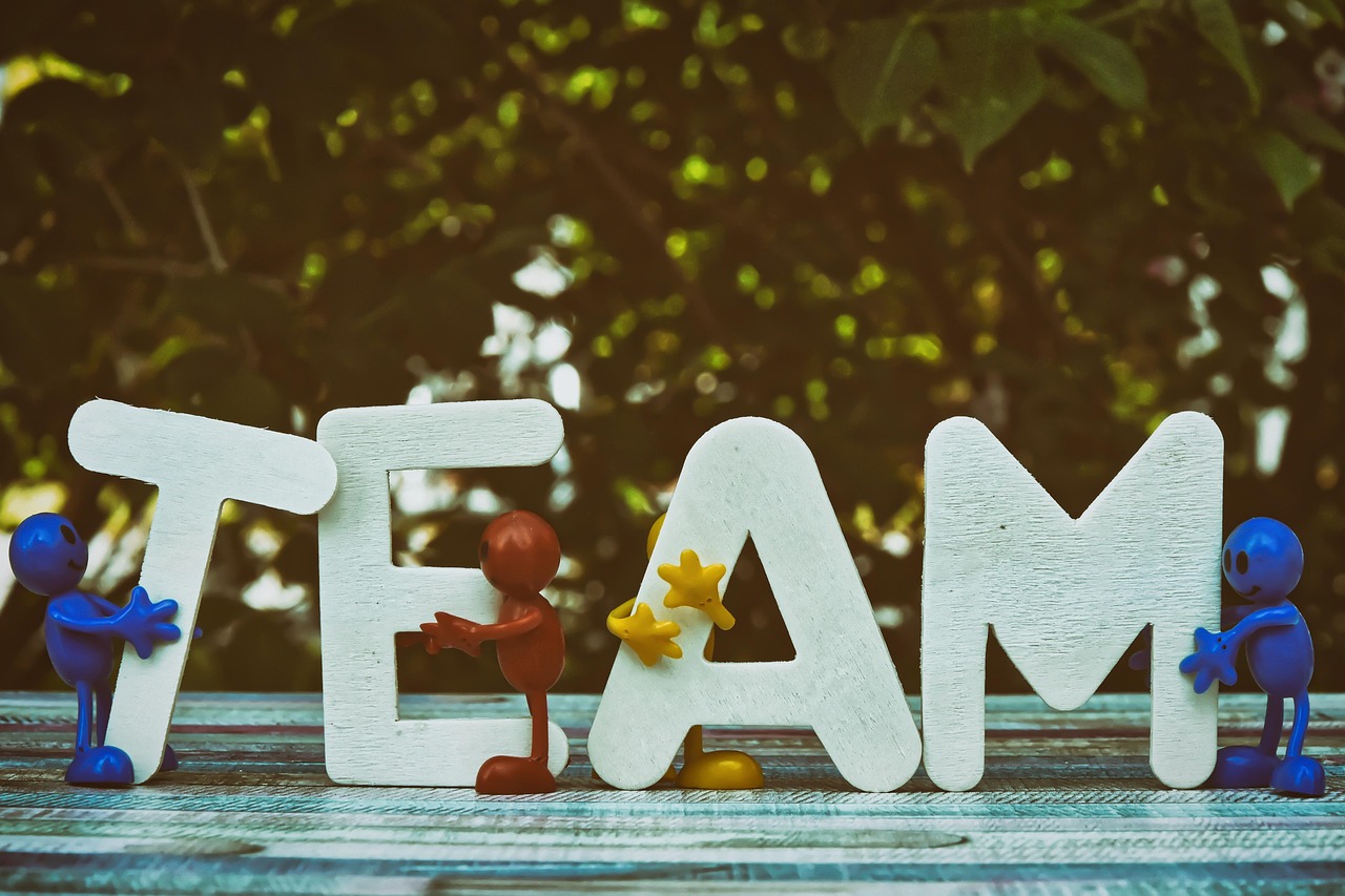 如何使用数据分析来提高SEO