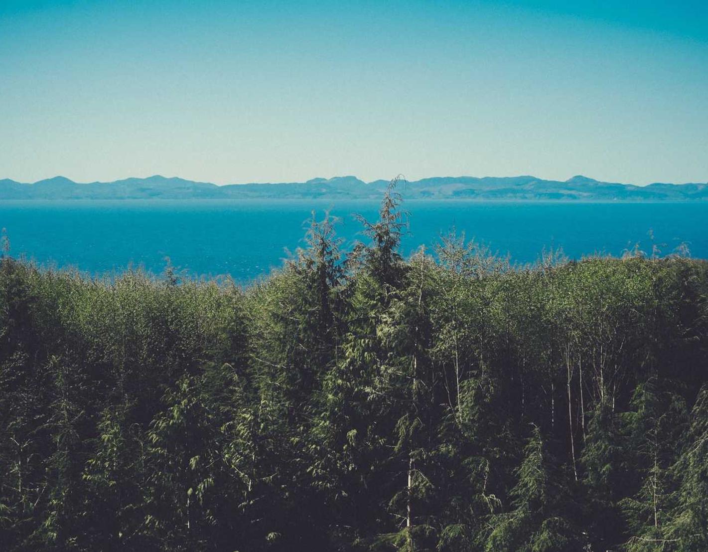 技术支持辅助对于游戏体验的潜在影响