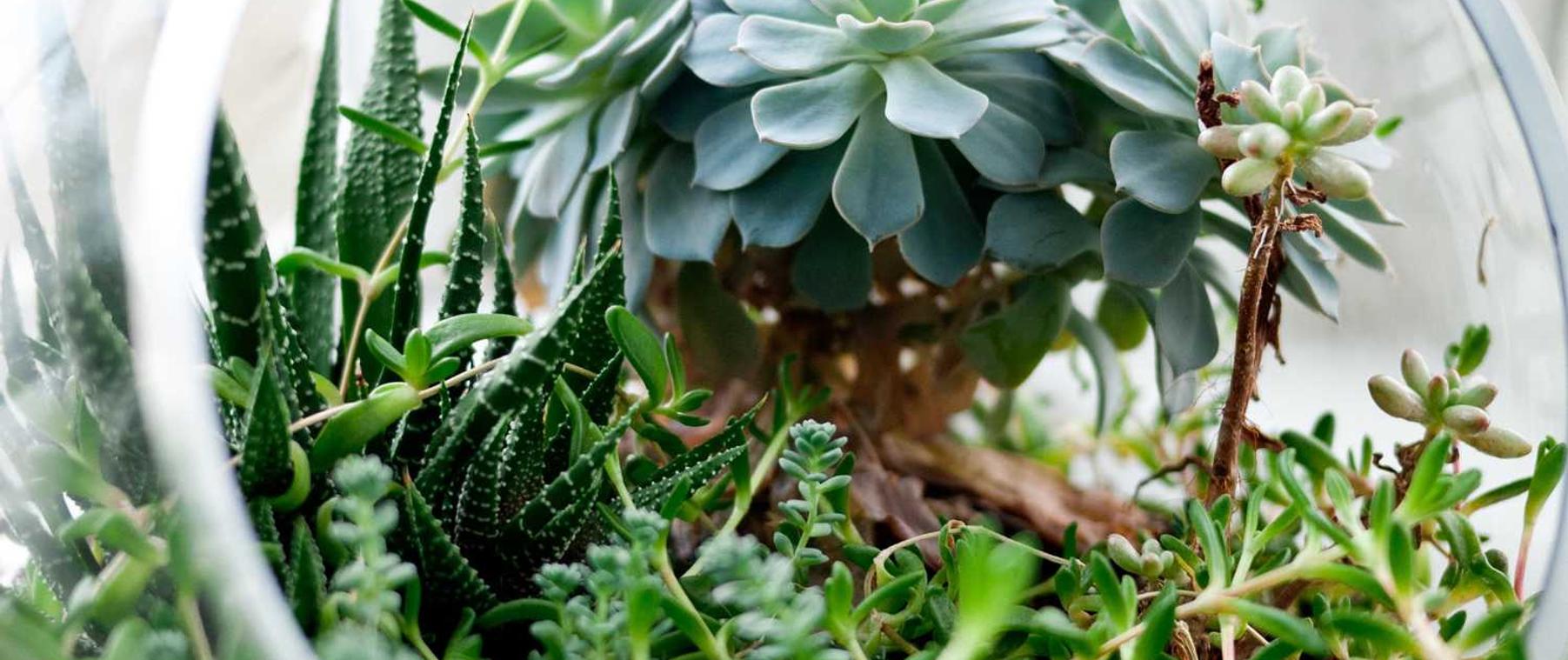 基金购买平台app