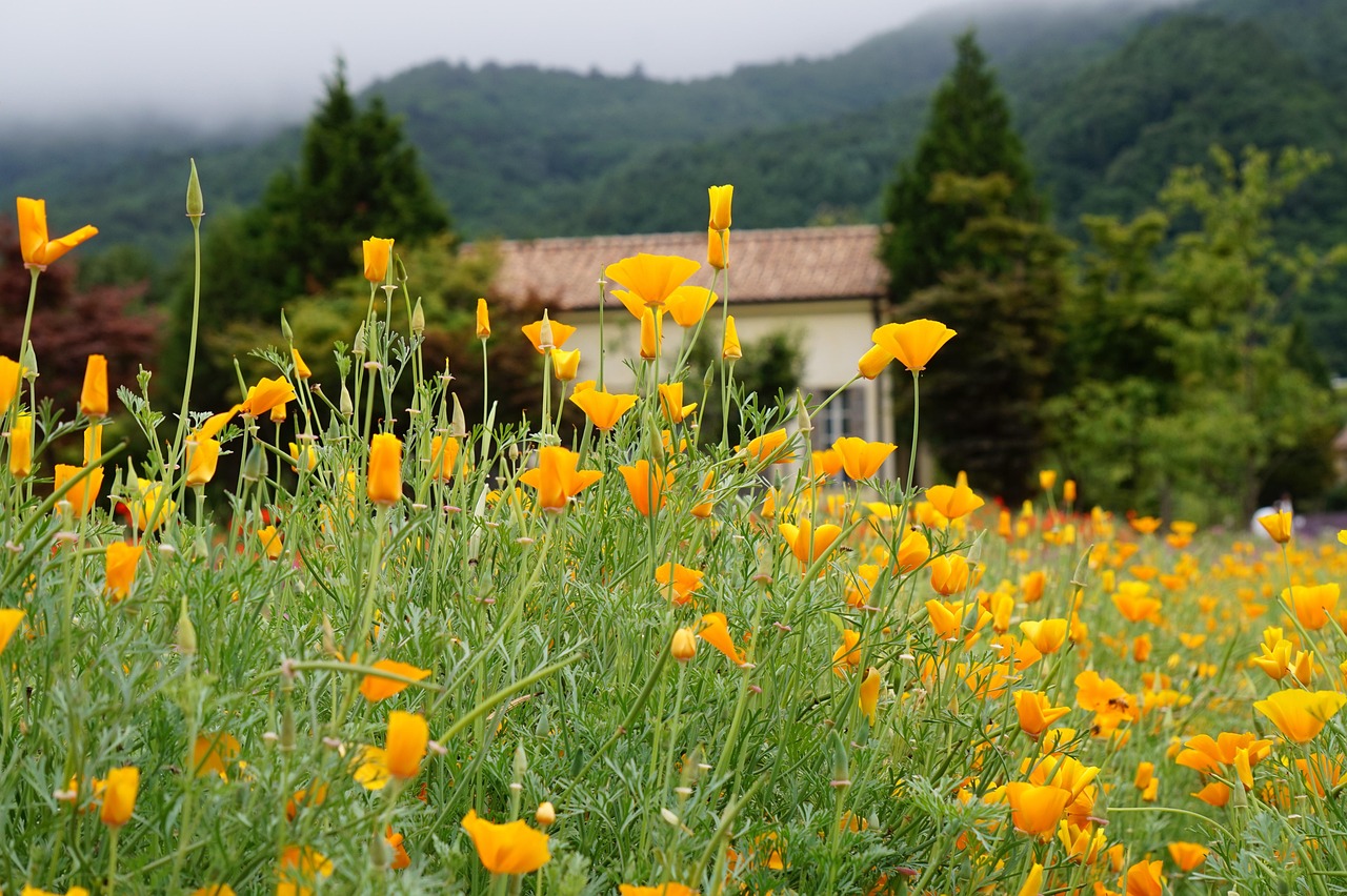 新宝5瑞安注册会计代理规划咨询
